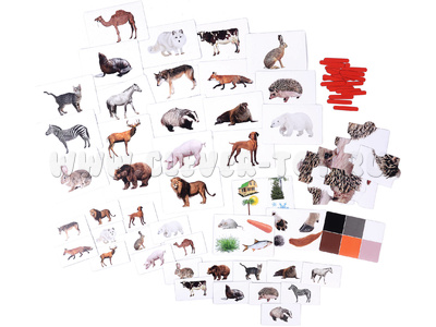 Набор магнитных карточек "Загадки-отрицания". Животные.