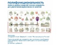 Природные богатства России с РобоМышью (без системы хранения)